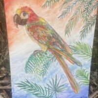 papagal exotic