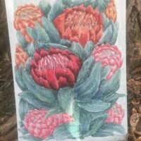 the flowers